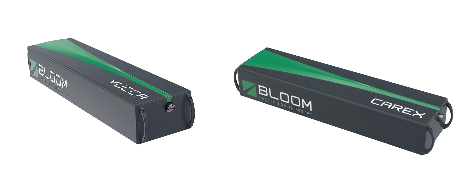 Bloom1
